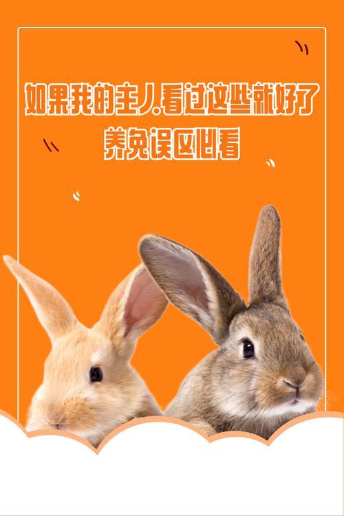 磁力搜索兔子：资源获取新天地